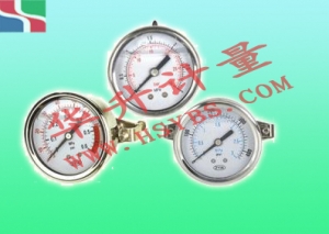 001 不锈钢耐震压力表(轴向无边)